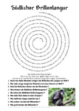Südlicher Brillenlangur.pdf